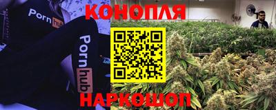стаф Усть-Илимск