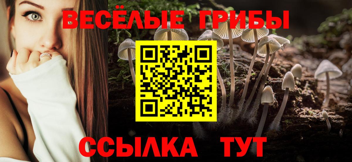 Псилоцибиновые грибы мицелий  Псилоцибиновые грибы MAGIC MUSHROOMS  Вход с VPN  Нижнекамск 